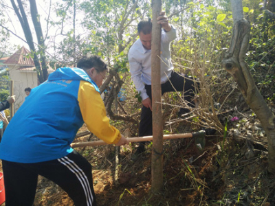【点赞】绿水青山的守护者，美丽城镇生态商播种绿色希望